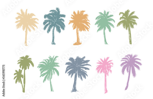 Palm, Hello Summer, hand drawn illustrations, vector.
