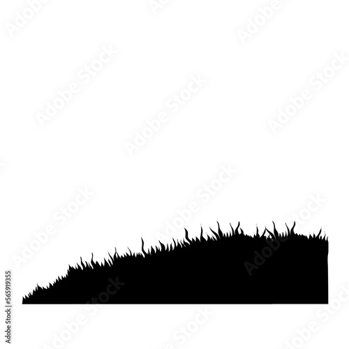 Meadow grass background