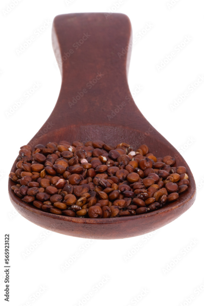 red quinoa isolated red quinoa isolated