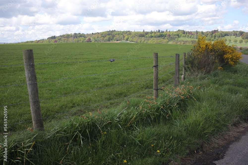 Countryside landscape around Aberlemno - Forfar - Angus - Scotland - UK