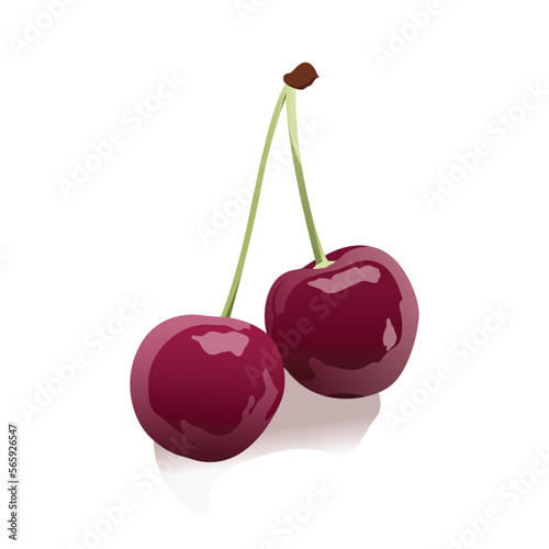 Vector illustration of two ripe red cherries. Delicious cherries and vitamins 3D design.