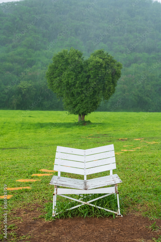 Fototapeta premium White chair and beautiful tree with heart shape and heavy raindrop