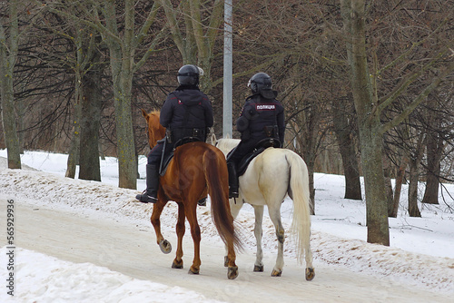 mounted police in a winter park