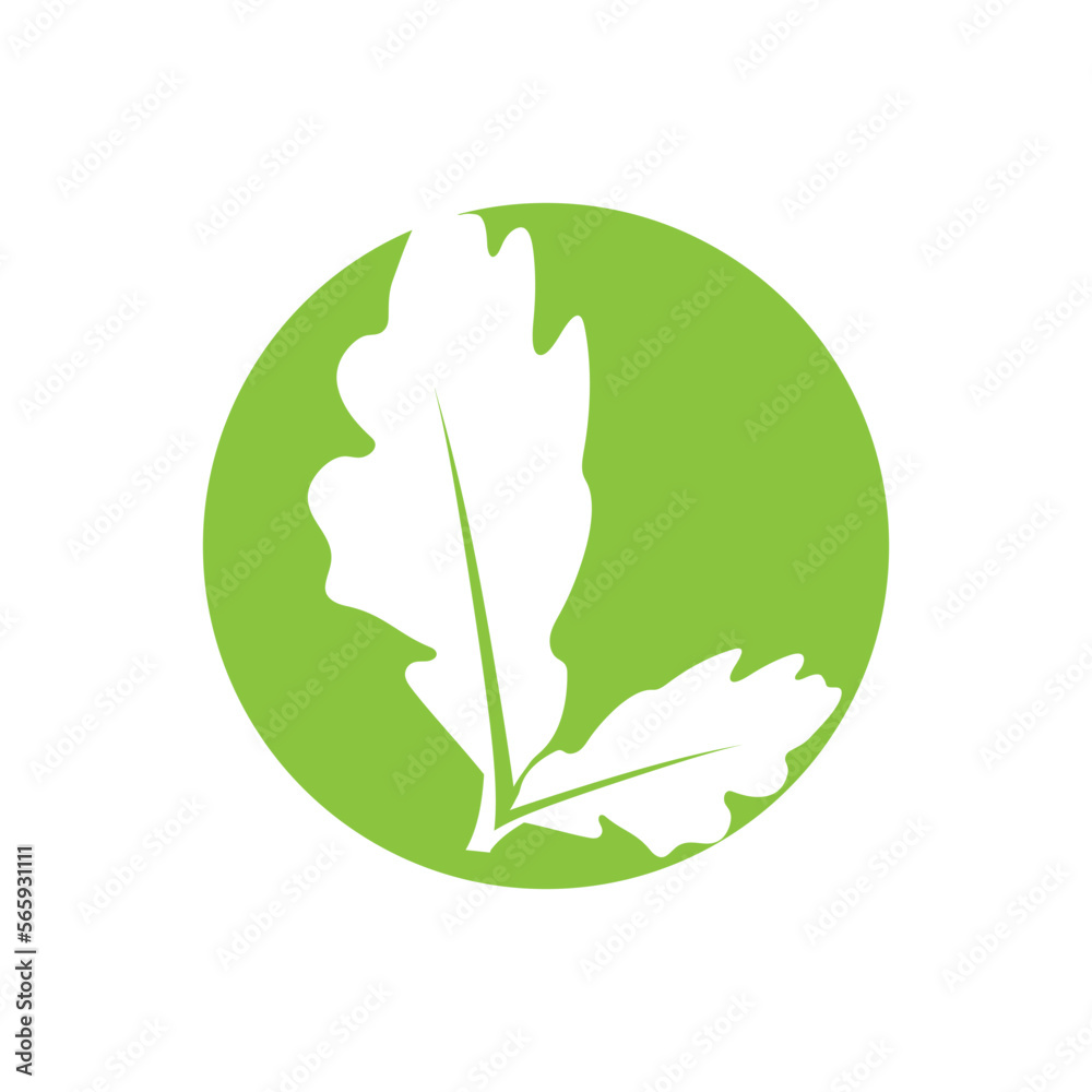 Leaf and Shutter Lens Aperture for Nature Photographer logo design inspiration Leaf and Shutter Lens Aperture for Nature Photographer logo design inspiration