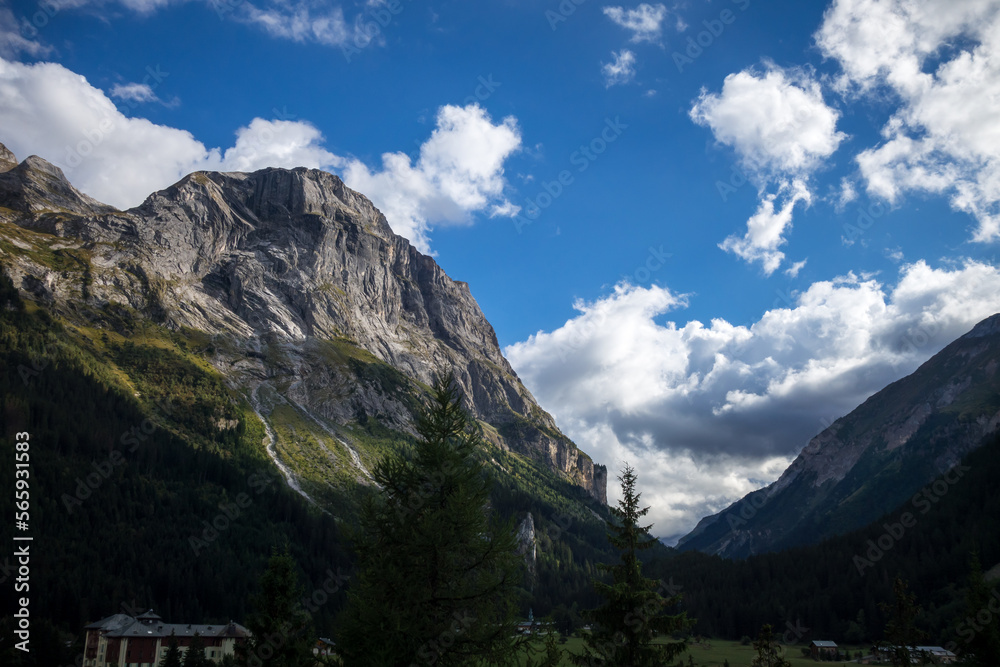 Naklejka premium Mountains and forest landscape in French alps