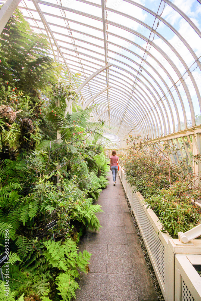DUBLIN, IRELAND - AUGUST 4, 2022: Wide Angle View of the interior of a glasshouse of The National Botanic Gardens in Dublin, Ireland in a sunny day with blue sky.