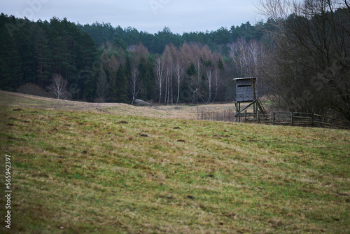 Fototapeta Naklejka Na Ścianę i Meble -  Ambona myśliwska stoi na skraju pola.