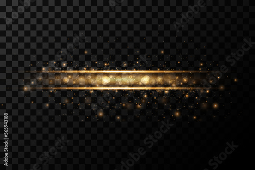 Gold line of light. Magic glow, particles of light, sparks. Glowing line.  Vector image.	