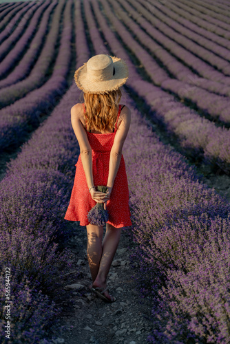 Woman field lavender. In a red dress and hat, she walks through a lavender field in her hands, holding a bouquet of lavender.