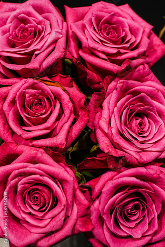 red roses background