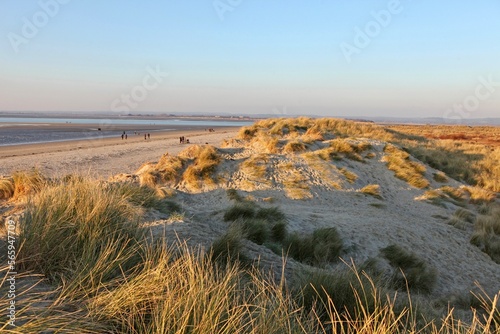 Fototapeta Naklejka Na Ścianę i Meble -  Sand dunes at West Wittering, West Sussex, UK.