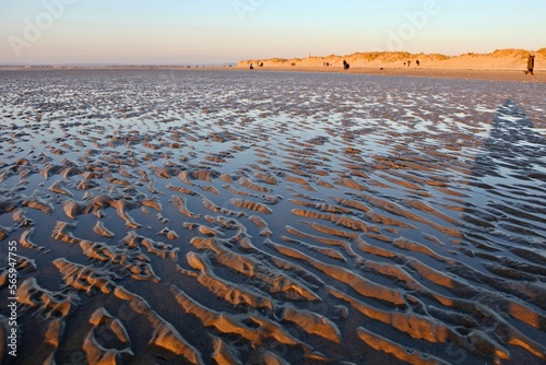 Фотография Sands flats exposed at low tide at West Wittering, West Sussex, UK