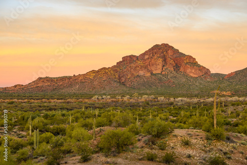 Fotografie Landscape Photograph of Red Mountain in the Tonto National Forest in Arizona