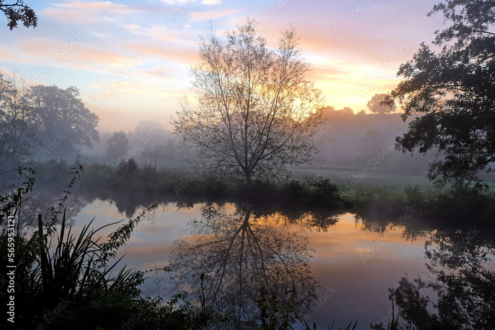 Fototapeta premium Mist over the meadows of the River Wey, Guildford, Surrey, UK