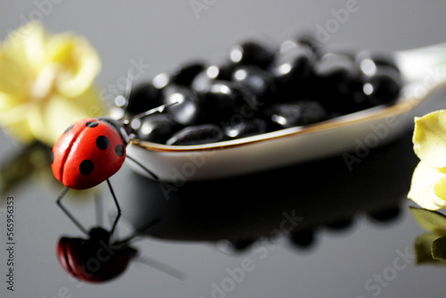 Ladybug and spoon with black stones