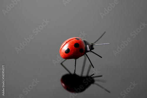 Decorative ladybug on a mirror surface