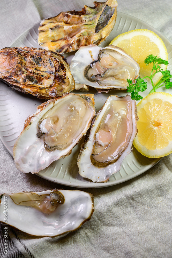 Eating of fresh big raw Zeeuwse Creuse Dutch oysters from Zeeland, Netherlands Eating of fresh big raw Zeeuwse Creuse Dutch oysters from Zeeland, Netherlands