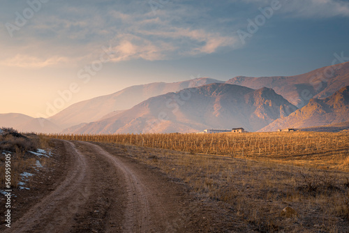 Stunning view of the dirt road in Caucasus mountains and vineyards during a winter sunset
