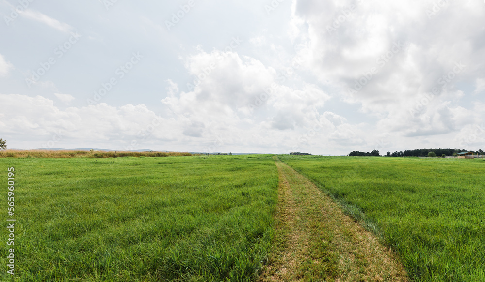 Path Through A Country Farm Field