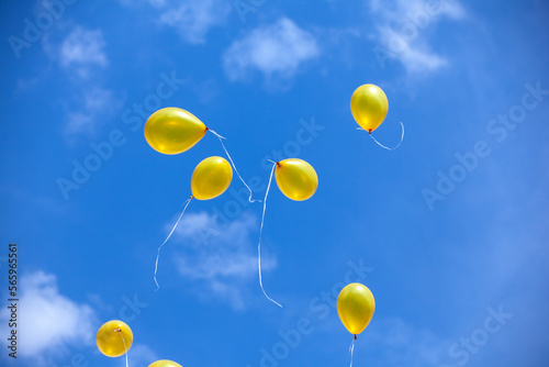 Balloons in the blue sky