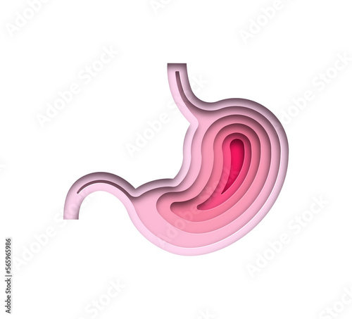 Foto Realistic 3D paper cut human stomach illustration