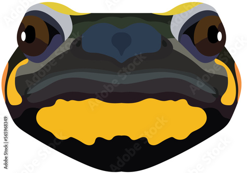 Realistic face of a fire salamander. The portrait of an amphibian is depicted on a white background. Vector graphics.