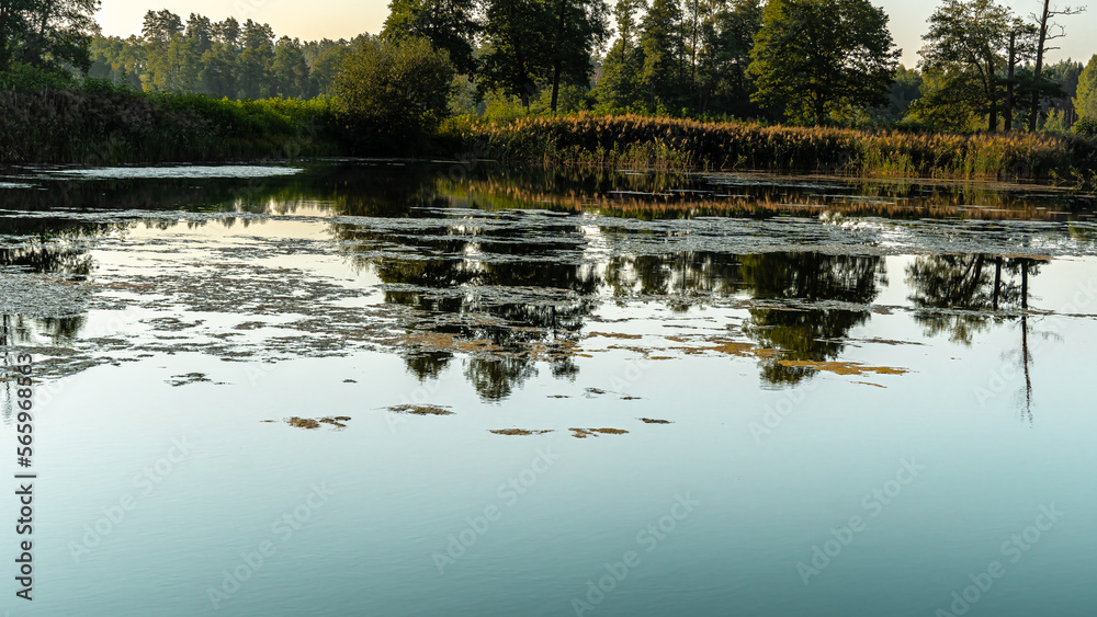 View of the lake in the forest on a sunnz,summer daz in Podlasie ,Poland View of the lake in the forest on a sunnz,summer daz in Podlasie ,Poland