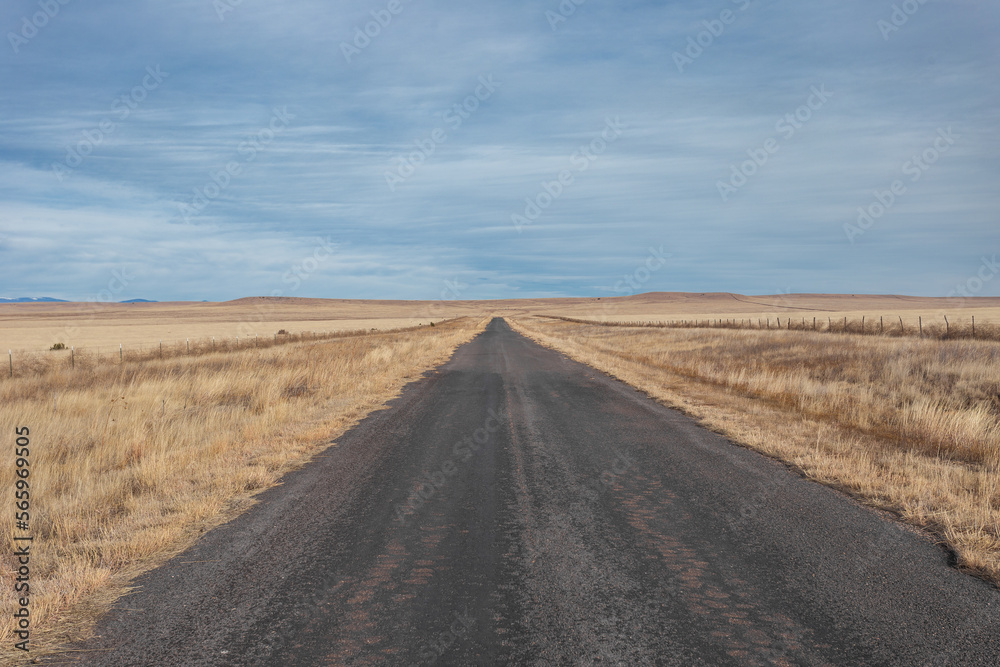 Empty paved road cutting through open yellow pastures with clear sky in rural New Mexico