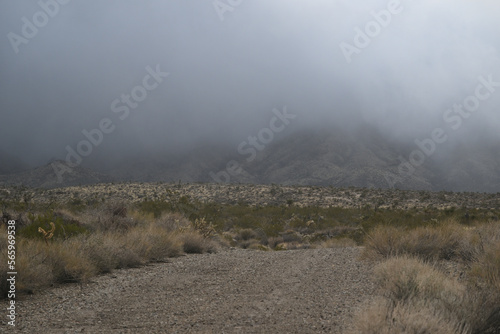 Fog in Mojave Desert.