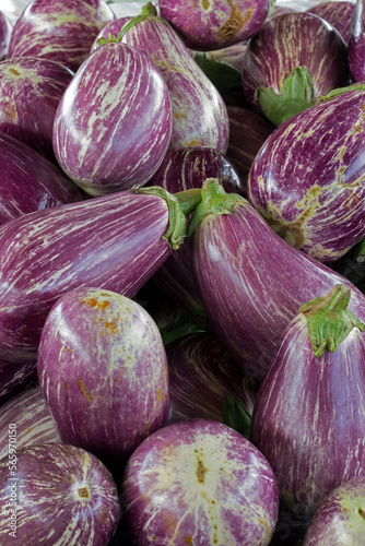 Closeup of aubergine heap for sale at open air market in Sao Paulo city, Brazil