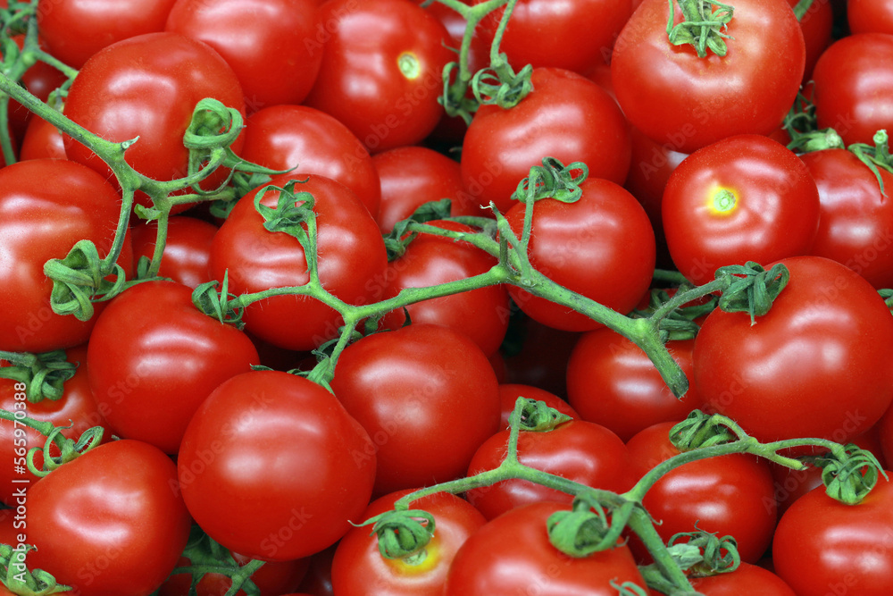 Stack of tomatoes at the brazilian market stall