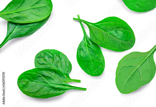 Fesh green baby spinach leaves isolated on white background. Espinach Set. Pattrn. Flat lay. Spinach Food concept. photo