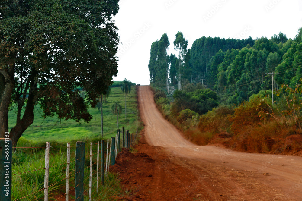 Red dirt road flanked by forest and pasture in countryside of Brazil