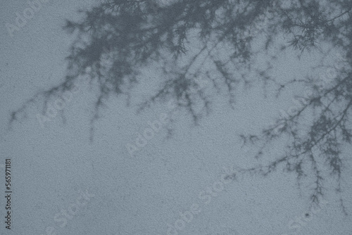 Abstract fir tree shadows on grayish blue concrete wall texture with roughness and irregularities. Abstract trendy nature concept background. Copy space for text overlay, poster mockup flat lay 