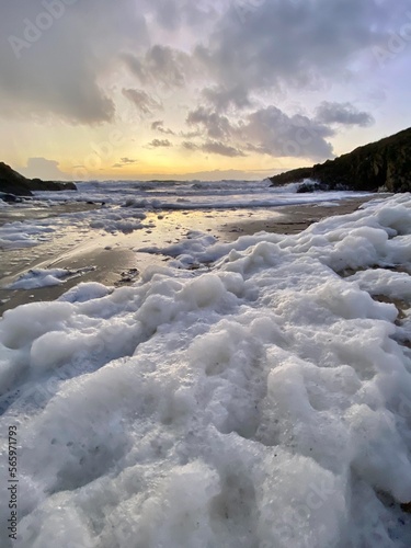 Sea foam, beach foam, Brittany, France