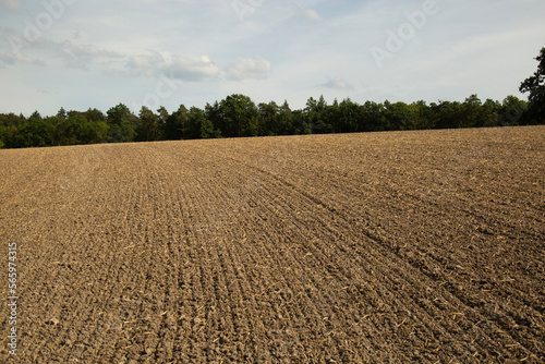 Landschaft, gepflügtes Feld endet am Waldrand, rand mit Mais bei Bewölkung und blauen Himmel, in Deutschland Baden Württemberg, Stuttgart