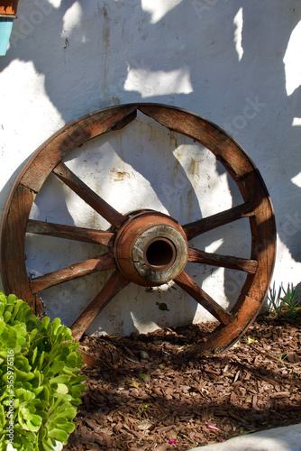 old wood wagon wheel decorates the garden