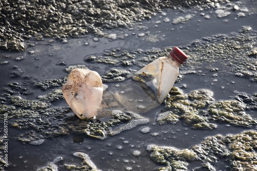 Botella de plástico contaminando el mar