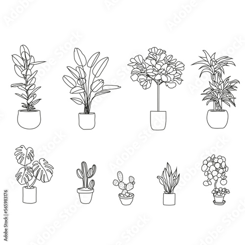 Plants d'intérieur format AI