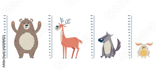 Height child measure kid high growth ruler children tall baby set concept. Vector cartoon graphic design element illustration
