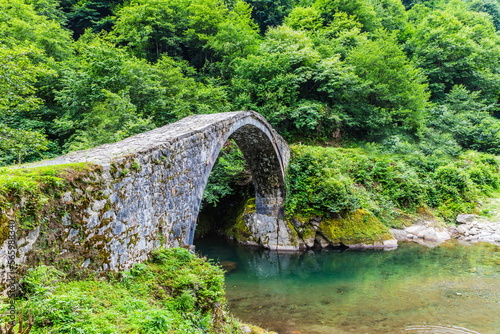 green vegetation in Kintrishi National Park, Georgia