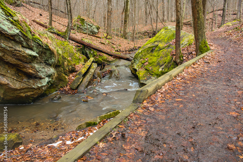 Path and stream in winter forest with large stones.