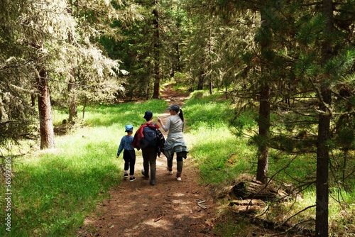 Family hiking in the forest  © avtk