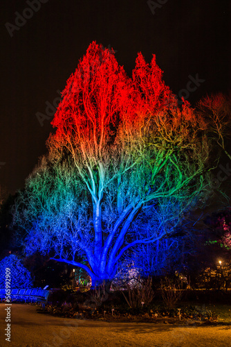 Frankfurt - Winterlichter Palmengarten