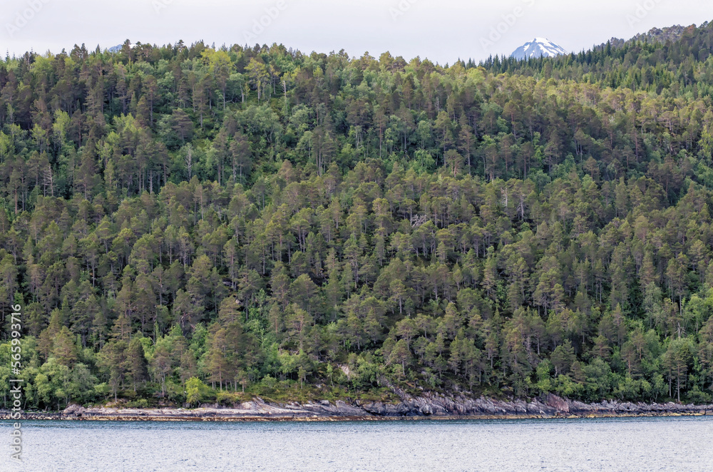 Beautiful norwegian fjord landscape - Andalsnes