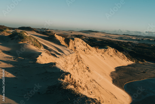 Dark and moody landscape. Sand dunes on the beach at sunset  California