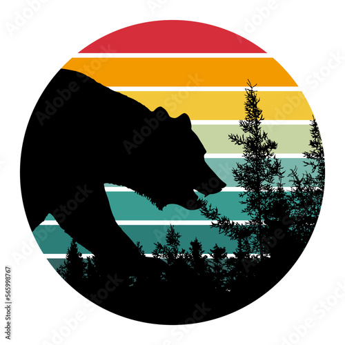 Urso Terra Cidade