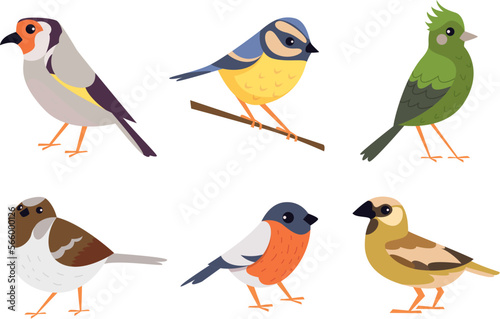 Birds. Cartoon flying animals colored birds exact vector collection
