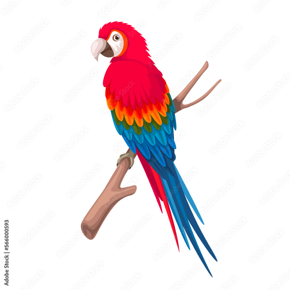 Parrot Macaw on tree branch vector illustration. Cartoon isolated tropical bird with red and blue feathers, portrait of parrot sitting on perch in jungle forest, cute colorful exotic talking pet