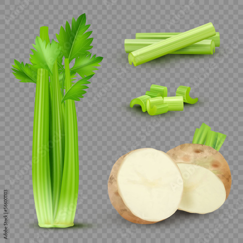 Realistic celery. Green vegan food celery sliced pieces and liquid smoothie decent vector eco healthy products collection